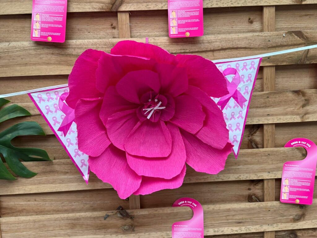 Pinker Oktober in Limburg 12