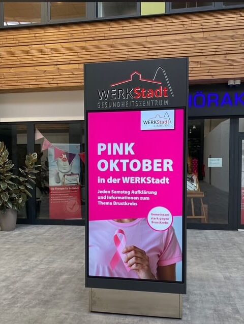 Pinker Oktober in Limburg 1